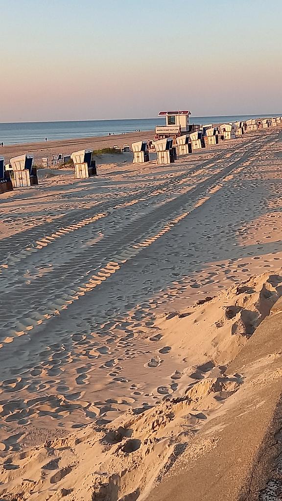 Sylt (107)